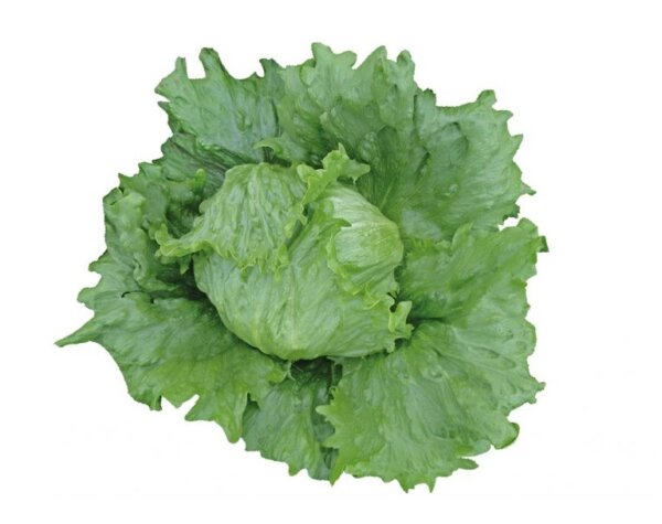 PEDROLE